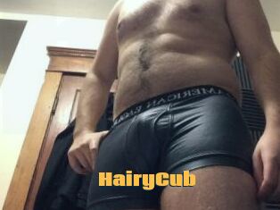 HairyCub