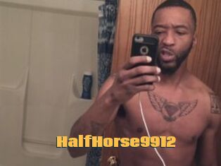 HalfHorse9912