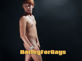 HarleyForGays
