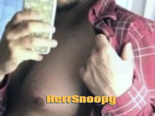 HerrSnoopy