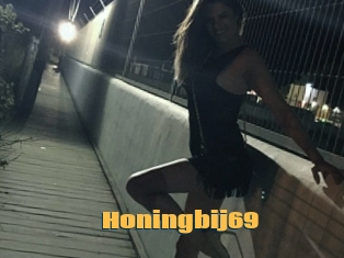 Honingbij69