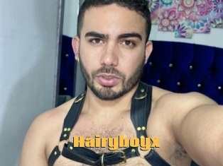 Hairyboyx