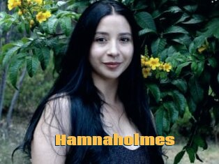 Hamnaholmes
