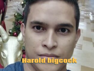 Harold_bigcock