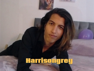 Harrisongrey