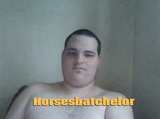Horsesbatchelor