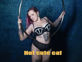 Hot_cute_cat