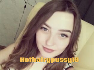 Hothairypussy18