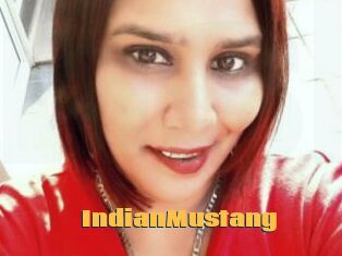 IndianMustang