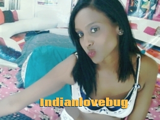 Indianlovebug