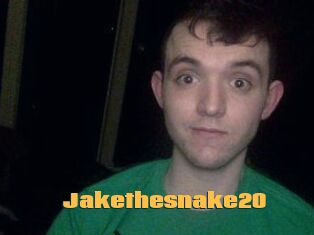 Jakethesnake20