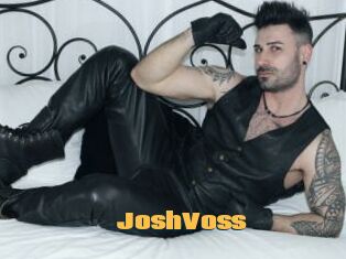 JoshVoss
