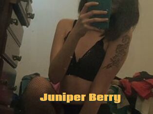 Juniper_Berry