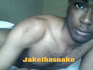 Jake_tha_snake