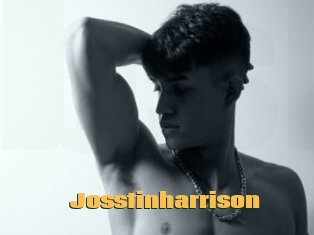 Josstinharrison