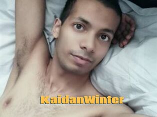 KaidanWinter