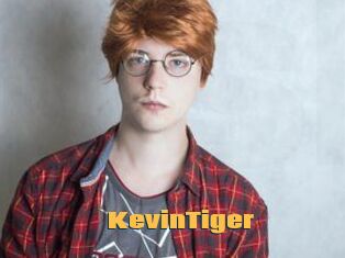 KevinTiger