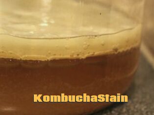 KombuchaStain