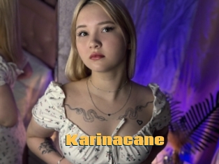 Karinacane
