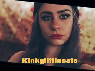 Kinkylittlecate