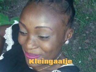 Kleingaatje