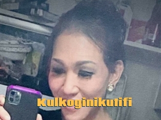 Kulkoginikutifi