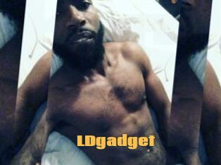 LDgadget