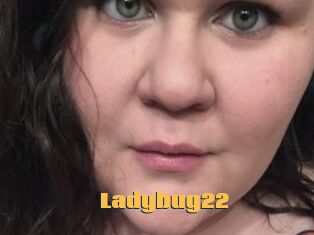 Ladybug22
