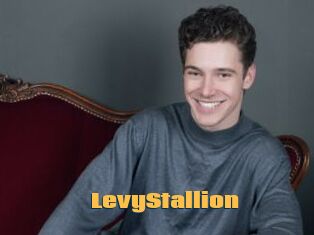 LevyStallion