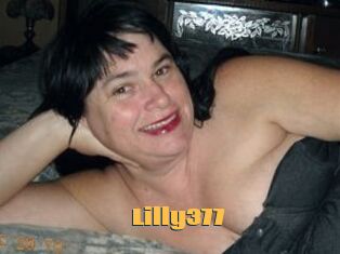Lilly377