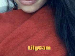 LilyCam