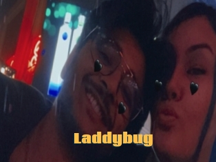 Laddybug