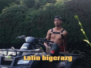 Latin_bigcrazy