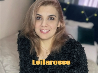 Leilarosse