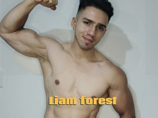 Liam_forest