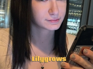 Lilygrows