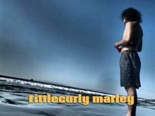 Littlecurly_marley
