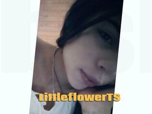 LittleflowerTS