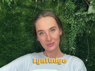Lynfudge