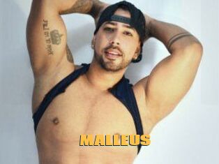 MALLEUS