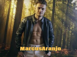 MarcusAranjo