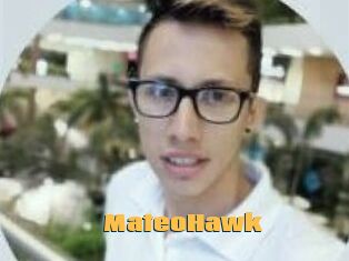 MateoHawk