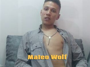 Mateo_Wolf