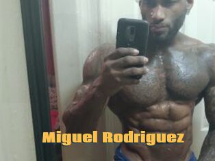 Miguel_Rodriguez