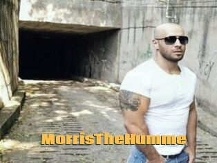 MorrisTheHumme