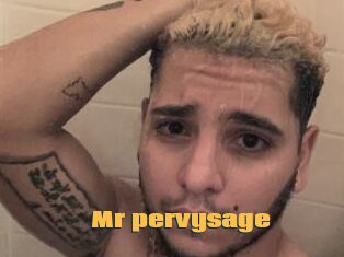 Mr_pervysage