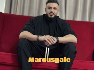 Marcusgale