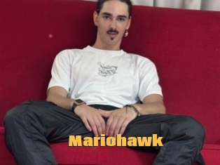 Mariohawk