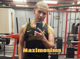 Maximosims