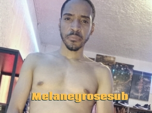 Melaneyrosesub